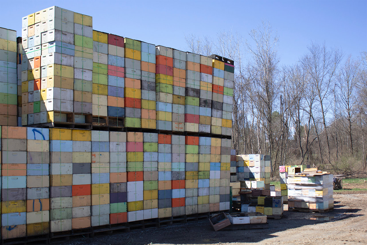 实地考察纽约上州的Kutik农场 / Site visit at Kutik's Honey Farm