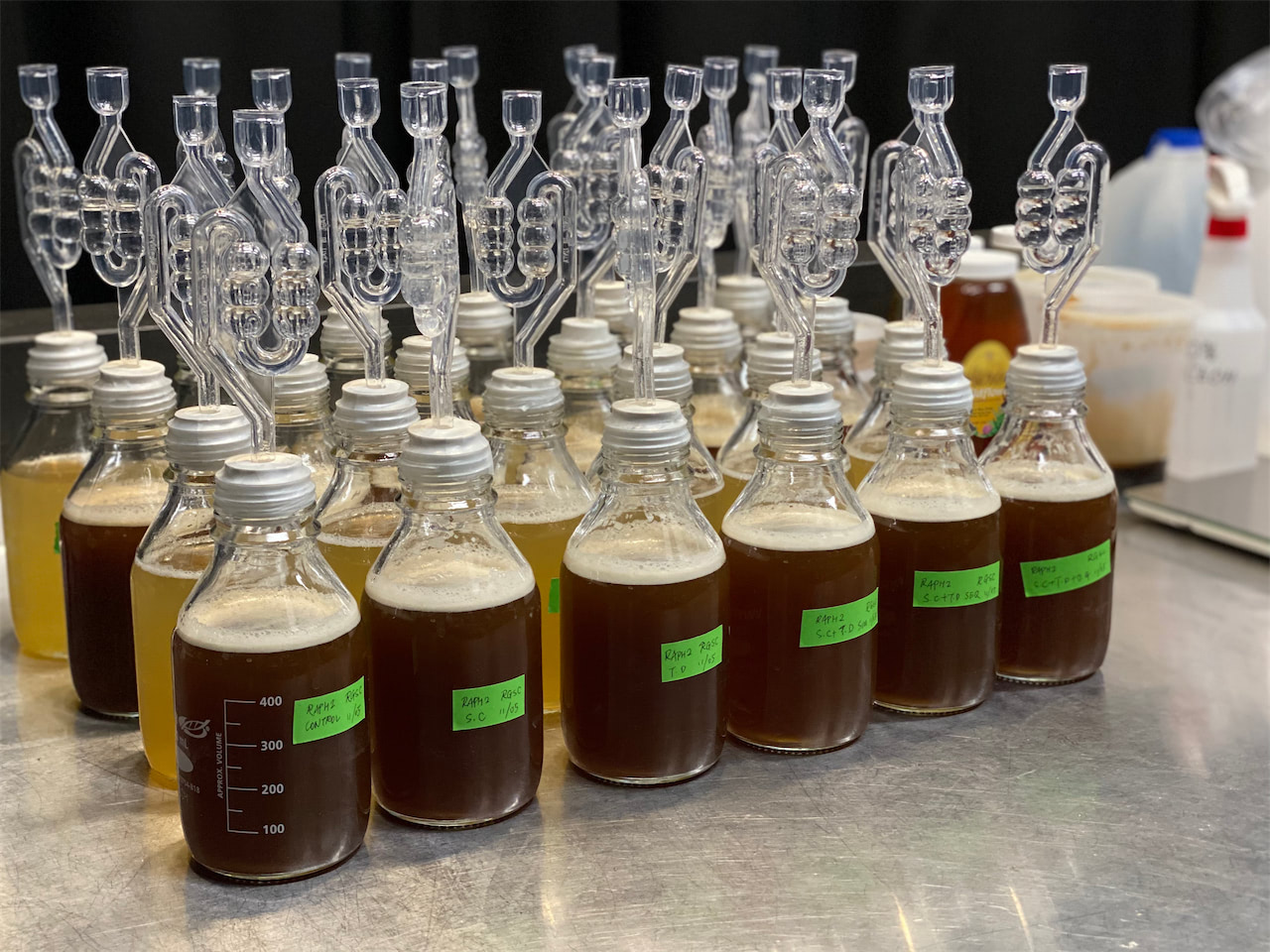 用不同的微生物种类和接种方法进行微发酵实验 / Microfermentation experiments with different microbial species and inoculation methods